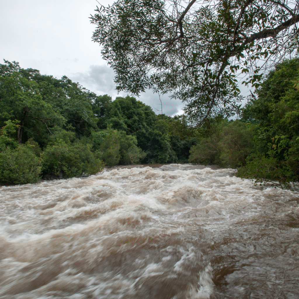 Children's ESL news article Floods hit Buenos Aires Province in Argentina A river floodinf - Children's ESL news article Floods hit Buenos Aires Province in Argentina