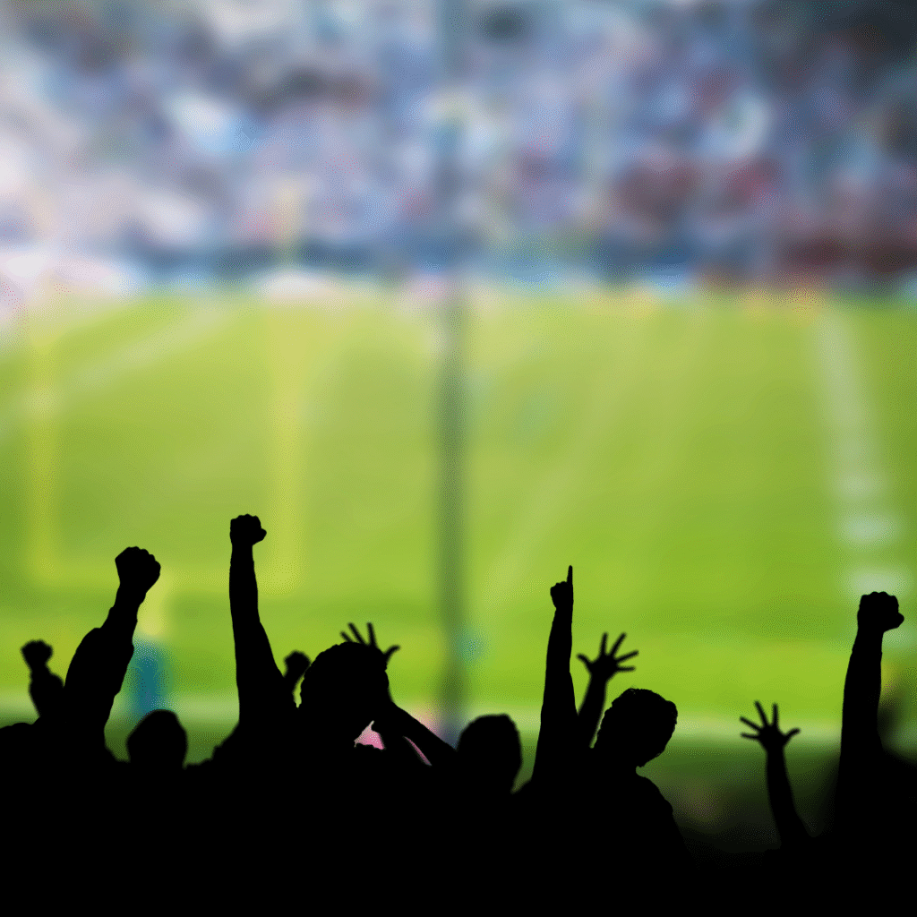 English article - A big day for Crystal Palace Football stadium with fans