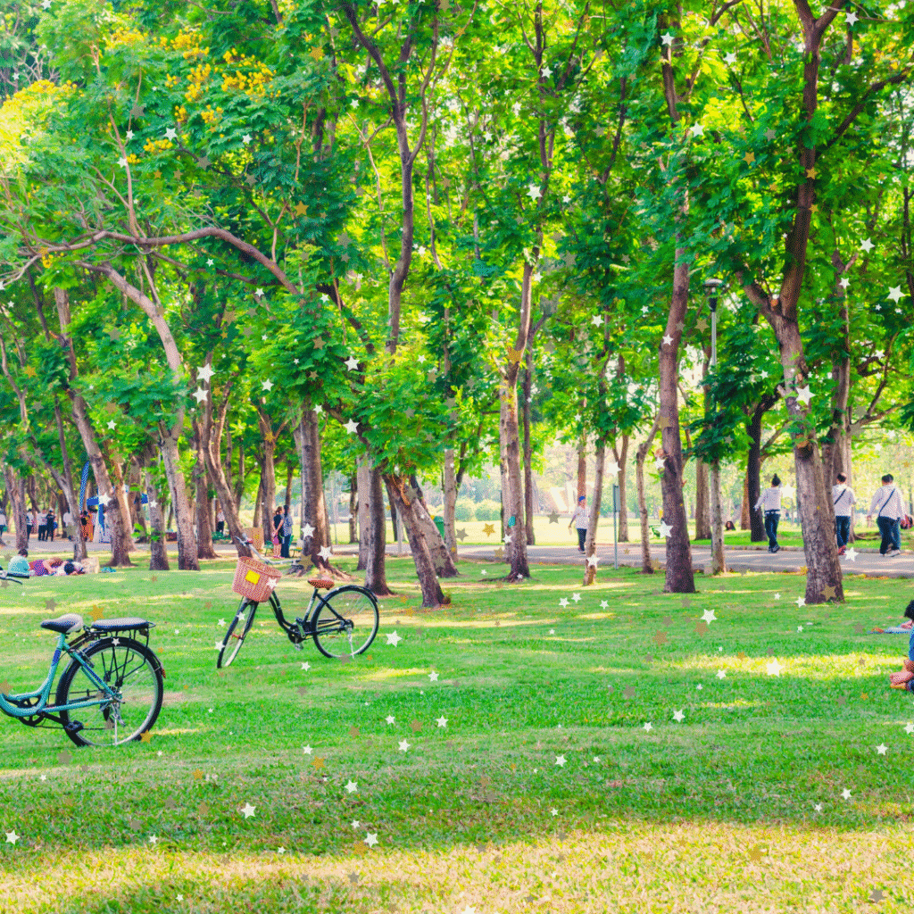 Tree power - English article for children Lots of trees in a park - tree power