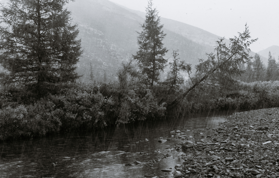 A very rainy day