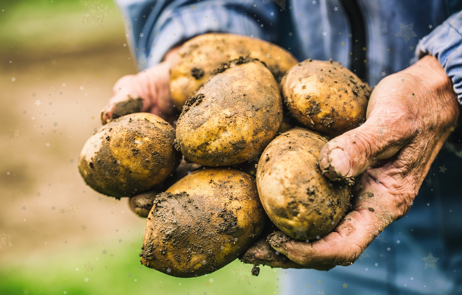news article for kids, world potato day