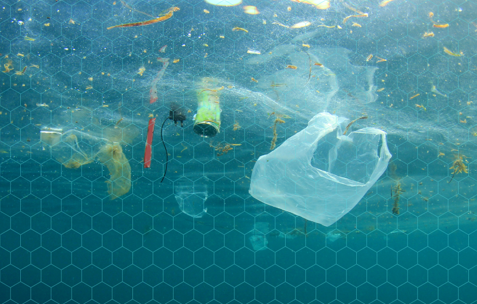 Pollution in the sea - Children's English article - UN Ocean Conference – World leaders meet to save our ocean