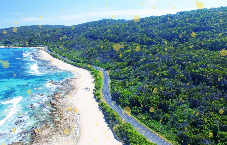 Australia plans to protect 30% of its ocean by 2030 Children's English article Australian Beach - Australia plans to protect 30% of its ocean by 2030 Children's English article