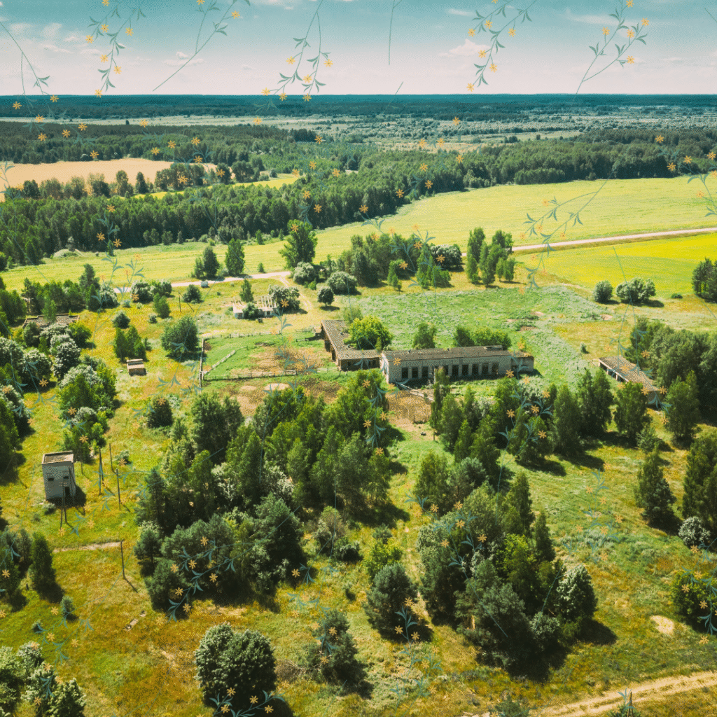 View over the nature growing in Chernobyl - English news article for kids View over the nature growing in Chernobyl