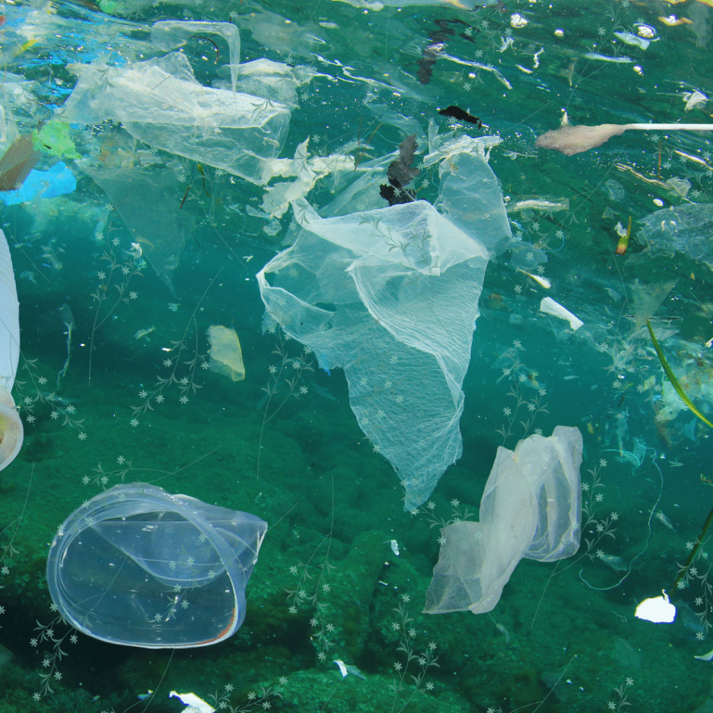 plastic bag bans and fees -English news article for kids Plastic floating in the water - plastic bag bans and fees