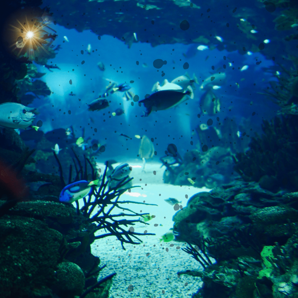 English news article for kids Sea in the deep ocean - English news article for kids