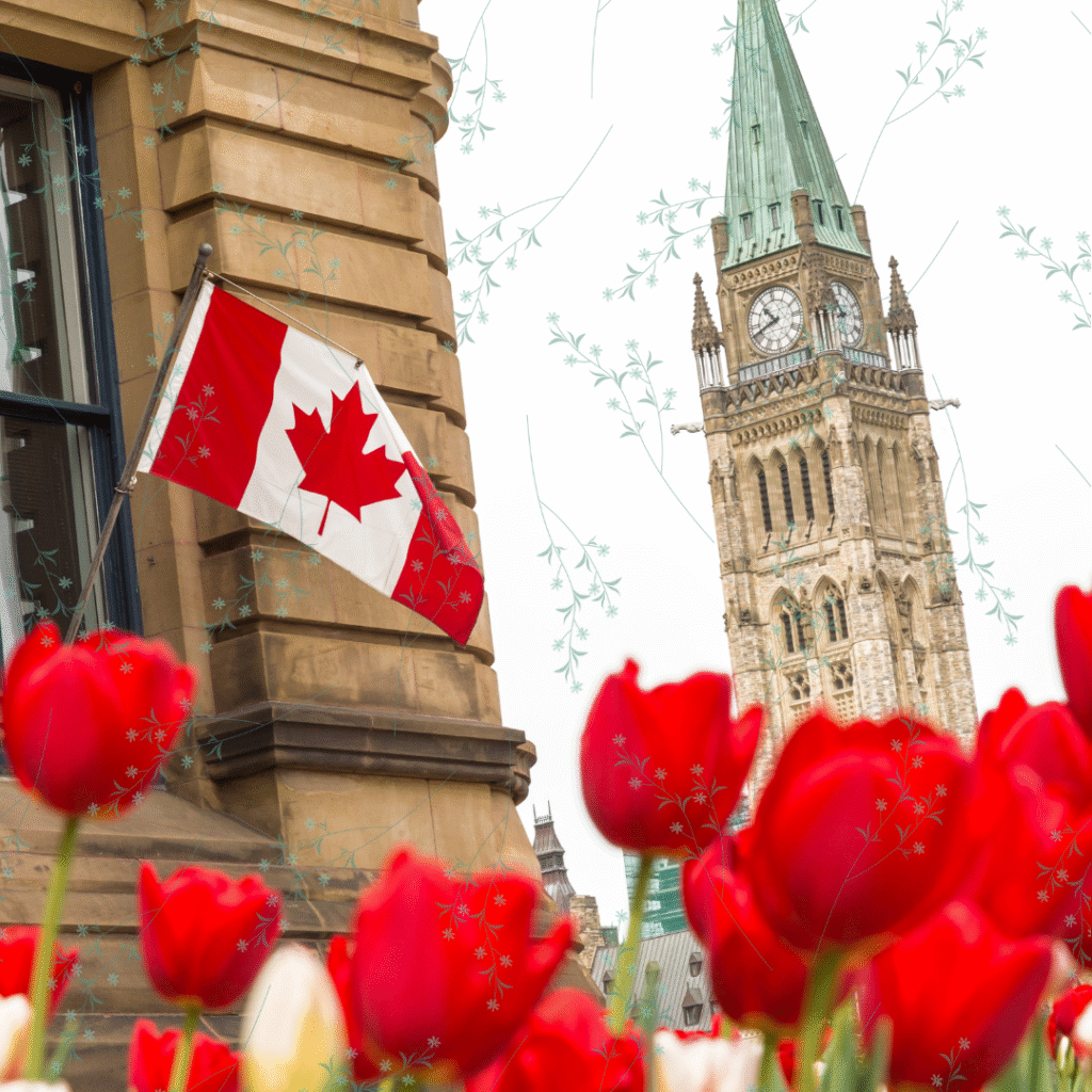 English news article for kids (3) Flag and tulips - An introduction to Ottawa
