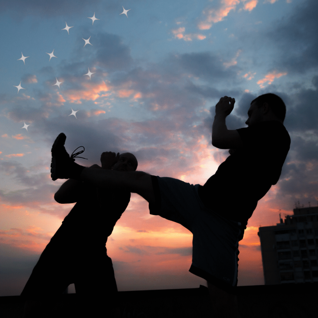 English news article for kids (31) a kids guide to capoeira