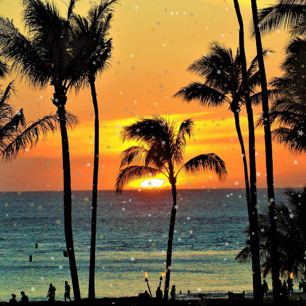 English news article for kids Palm trees and sun set in Hawaii - Kids news story