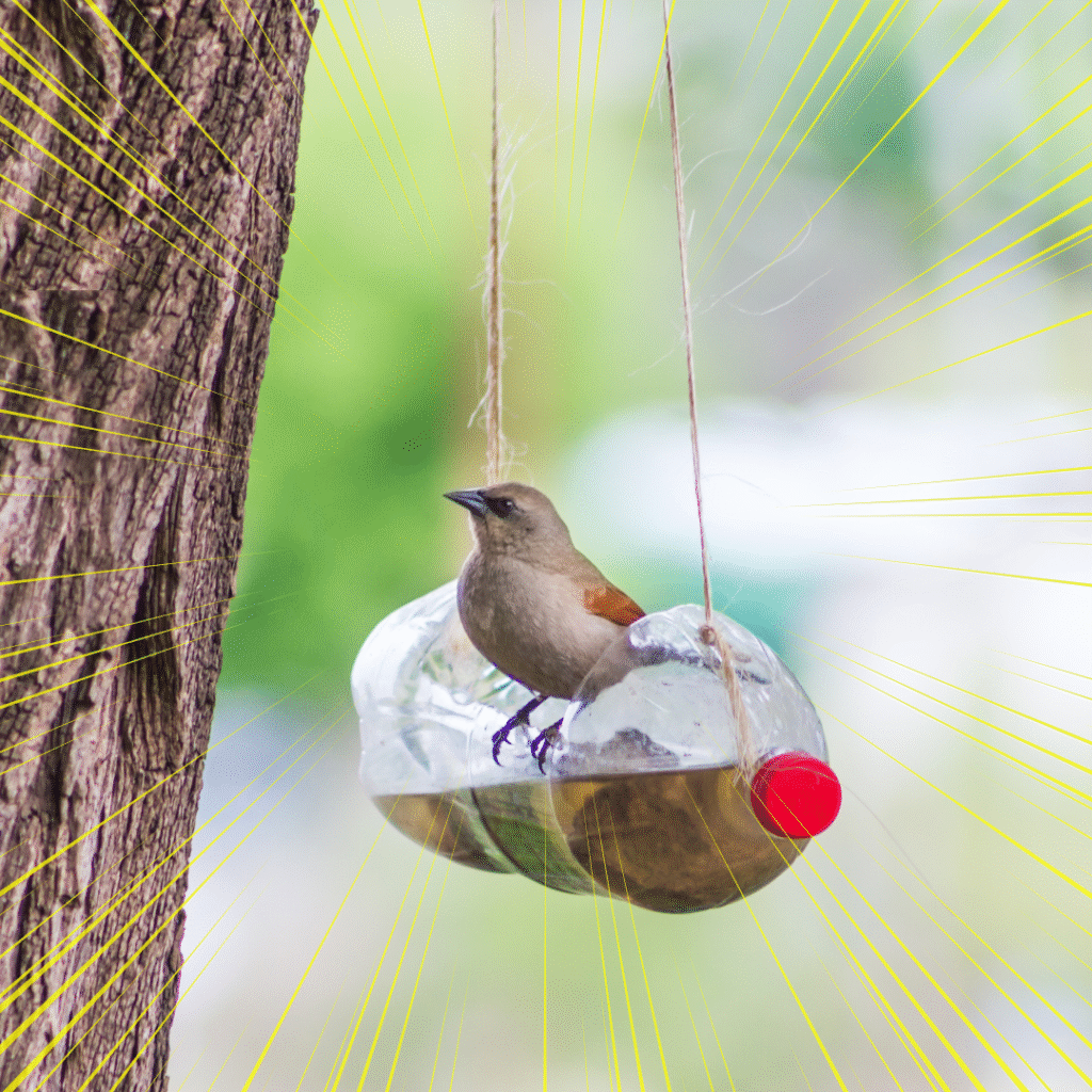 Upcycling Day - English news article for kids (7) A bird in a upcycled bird feeder - Upcycling Day