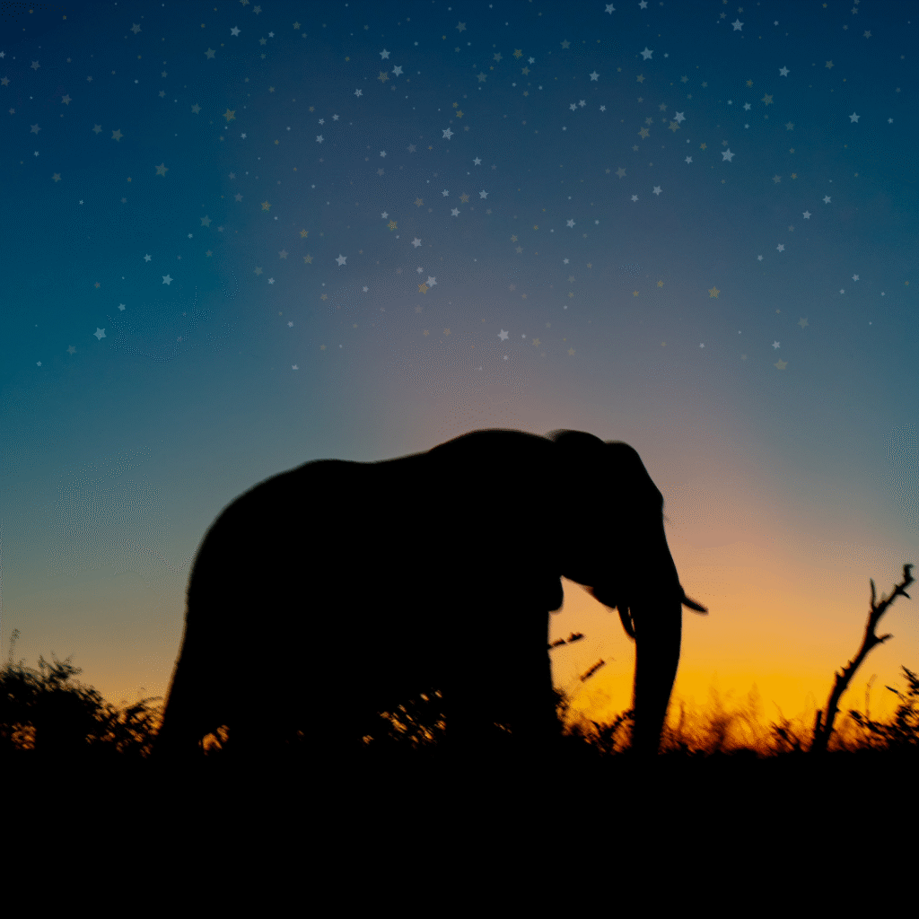 English news article for kids (8) elephant guide for kids