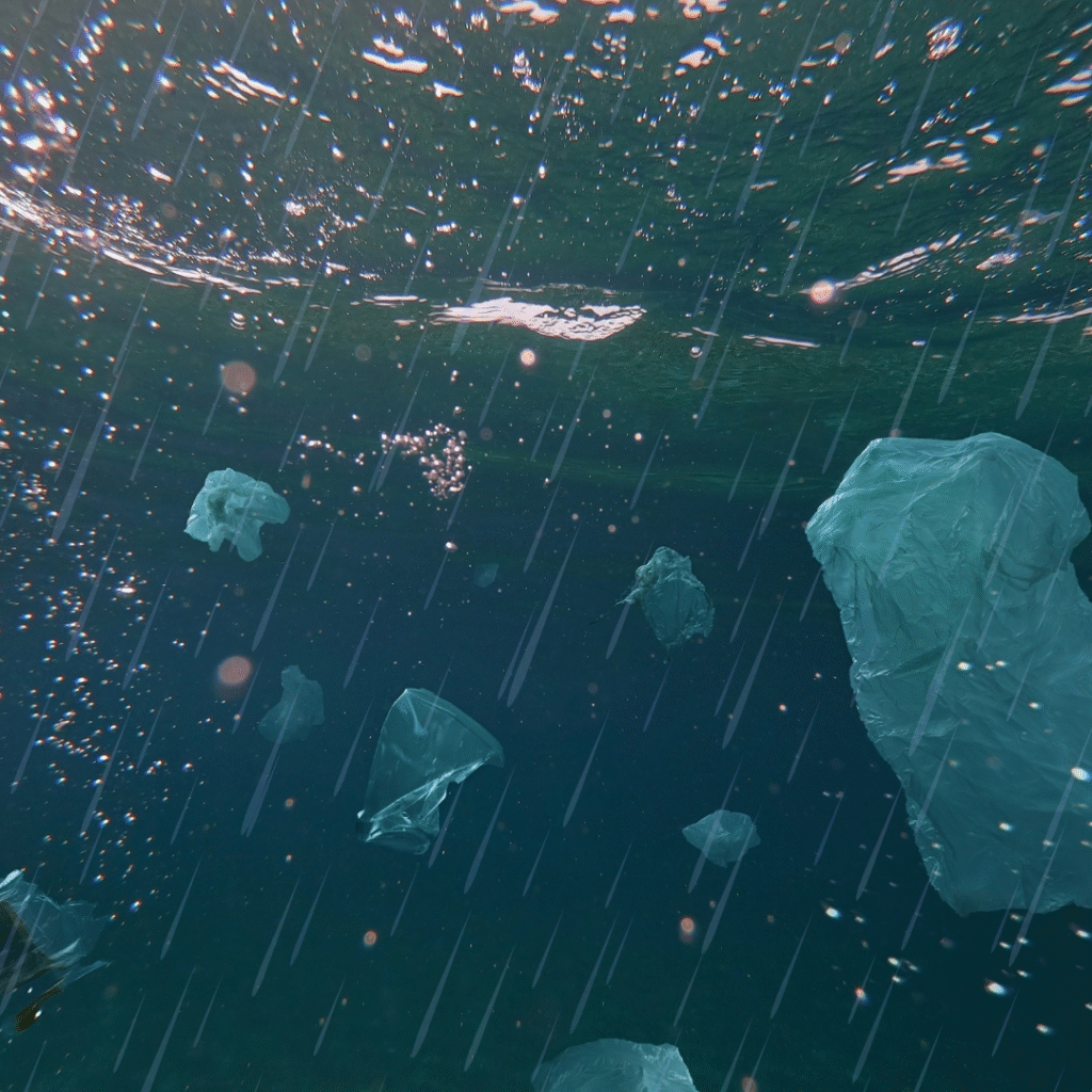 English news article for kids New plastic created Plastic bags in the ocean - English news article for kids New plastic created