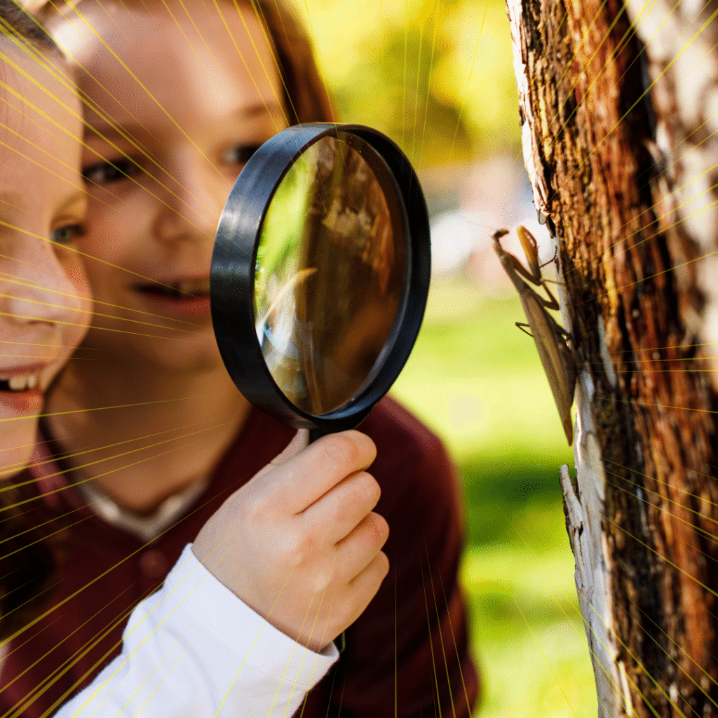 Insect Week for Children - English news article for kids Kids looking at insects on a tree - Insect Week for Children - English news article for kids