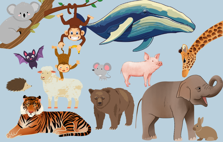 kids guide to mammals