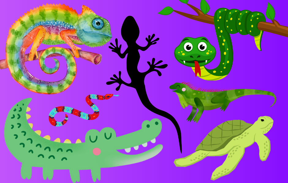 Children's English article (46) what is a reptile for kids