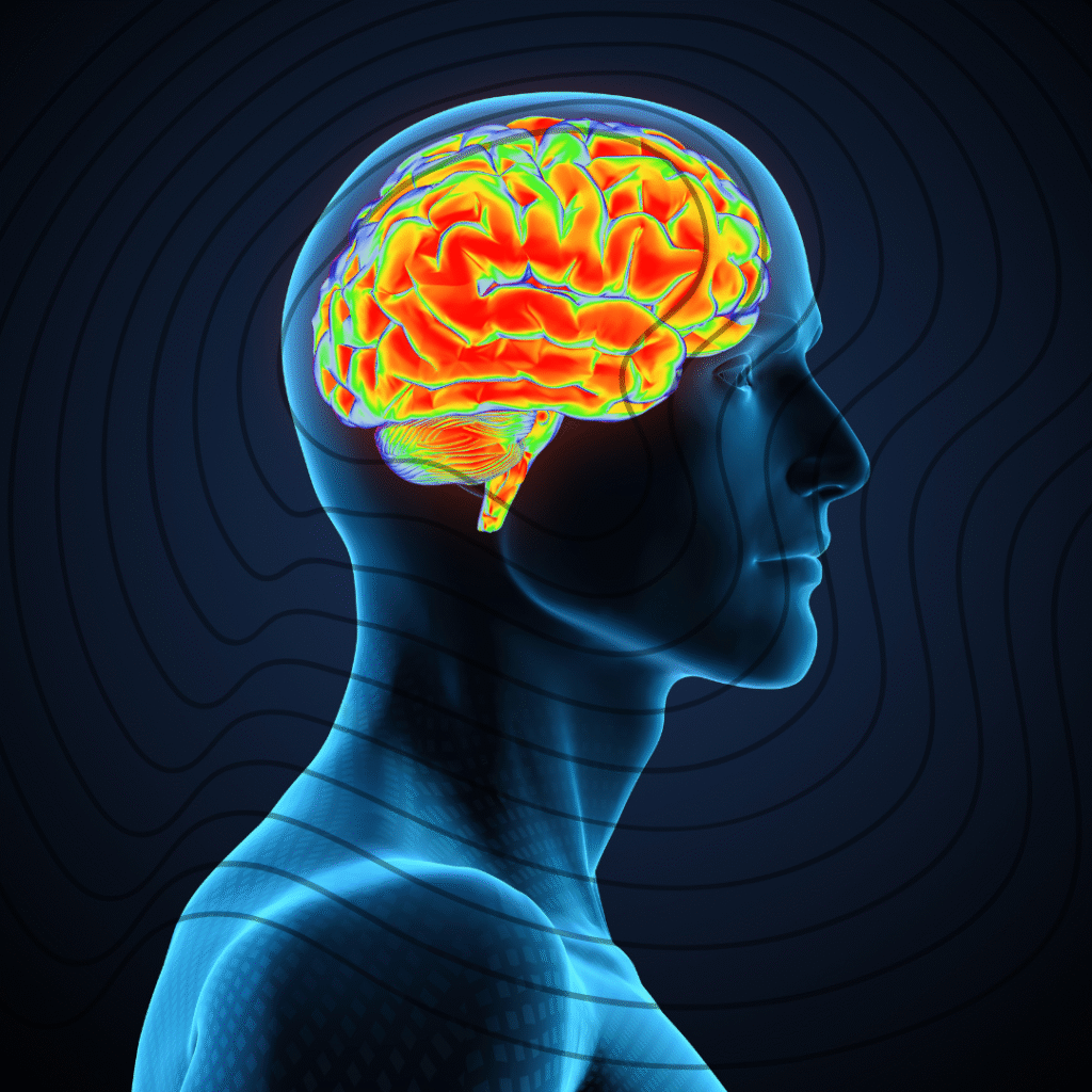 English news article for kids (61) world brain day