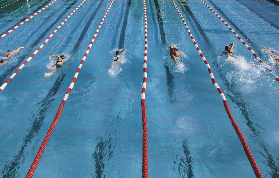 Children's English article (54) a kids guide to aquatic championships