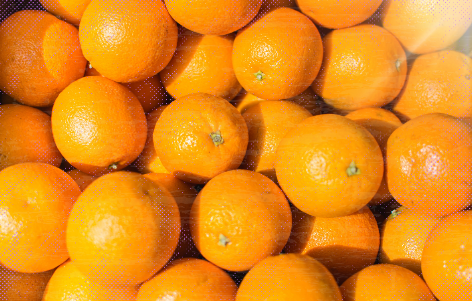 kids guide to oranges