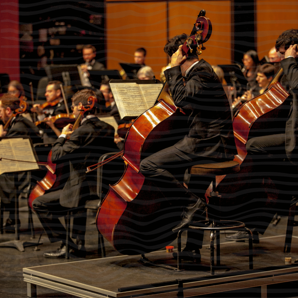 English news article for kids - The four families of the orchestra An orchestra playing -The four families of the orchestra
