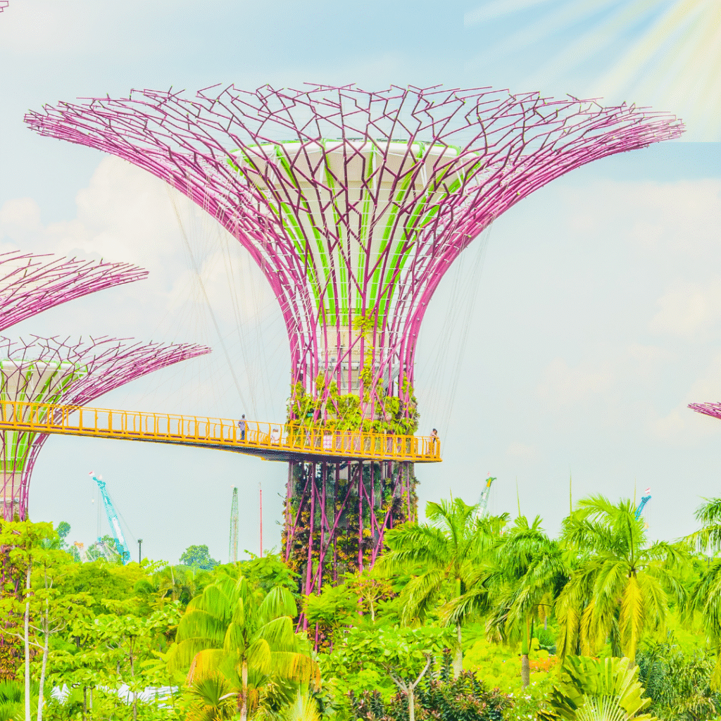 English news article for kids (79) kids guide to gardens by the bay singapore