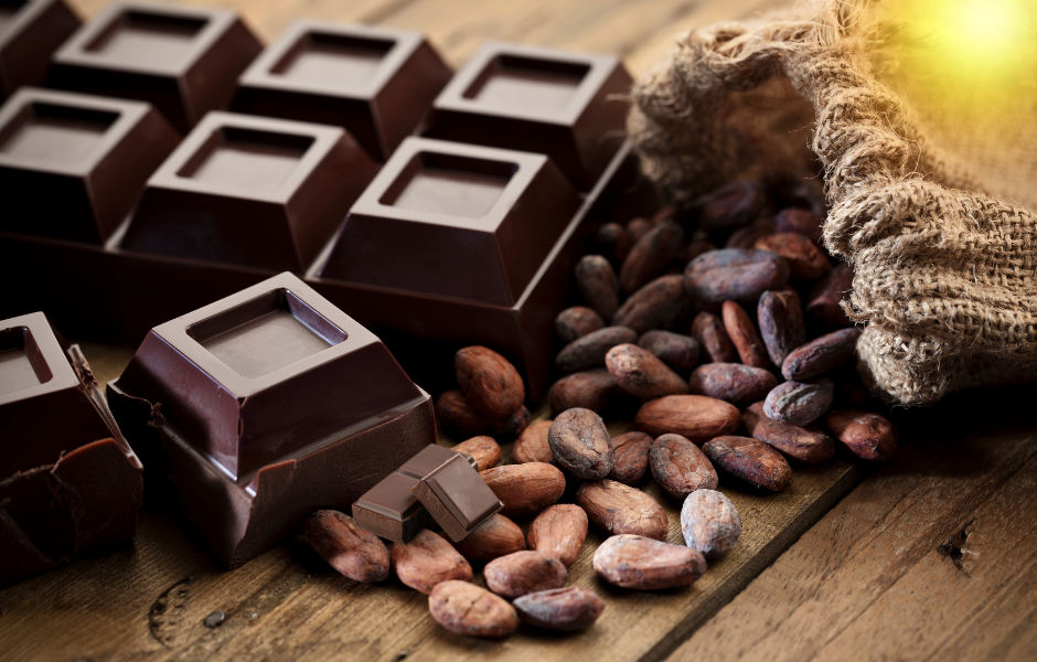 Children's English article - history of chocolate