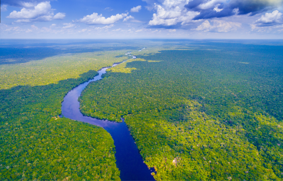 Childrens English article Discover the Amazon River a kids’ guide to a special rainforest river