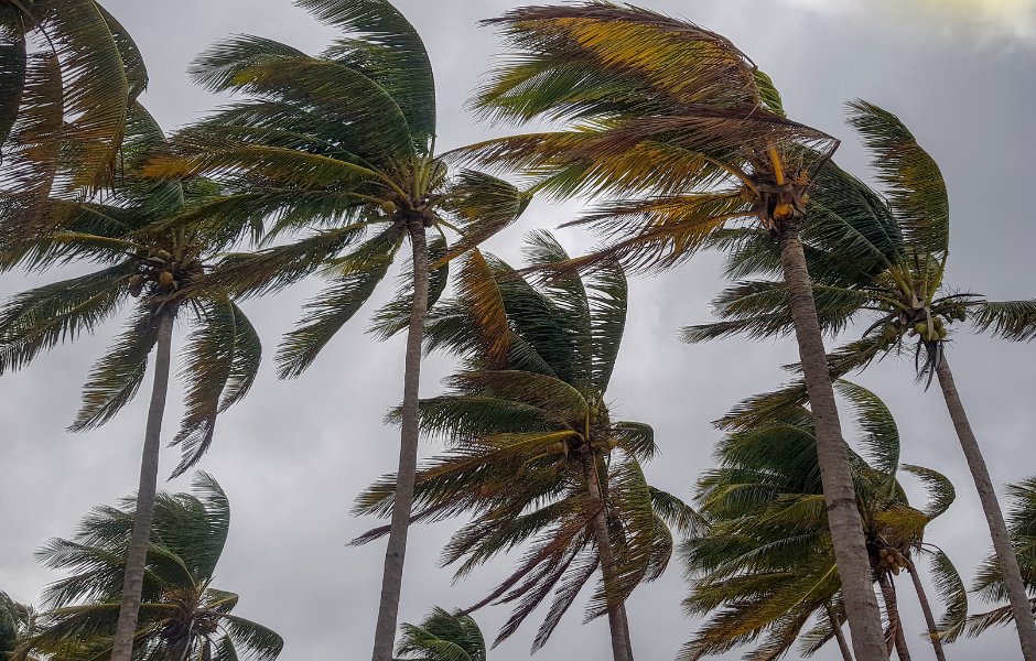 Childrens English article Super Typhoon Ragasa A kid's guide to the world’s strongest storms