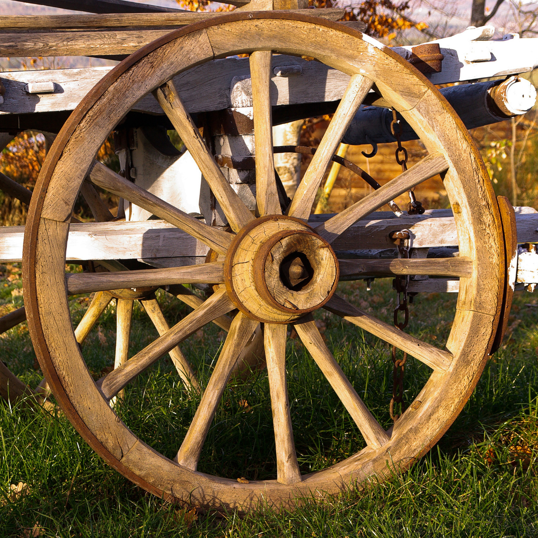 Who invented the wheel? The story of how the world started rolling