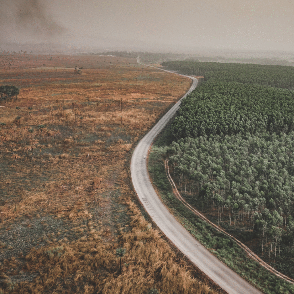 English news article for kids What is deforestation