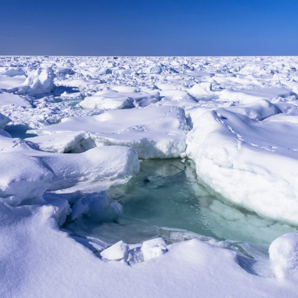 Where is the Arctic Circle English news article for kids