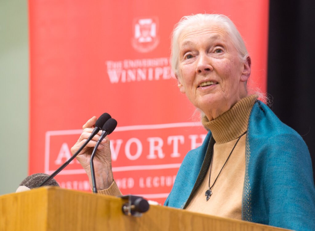 Jane Goodall - English News for Kids