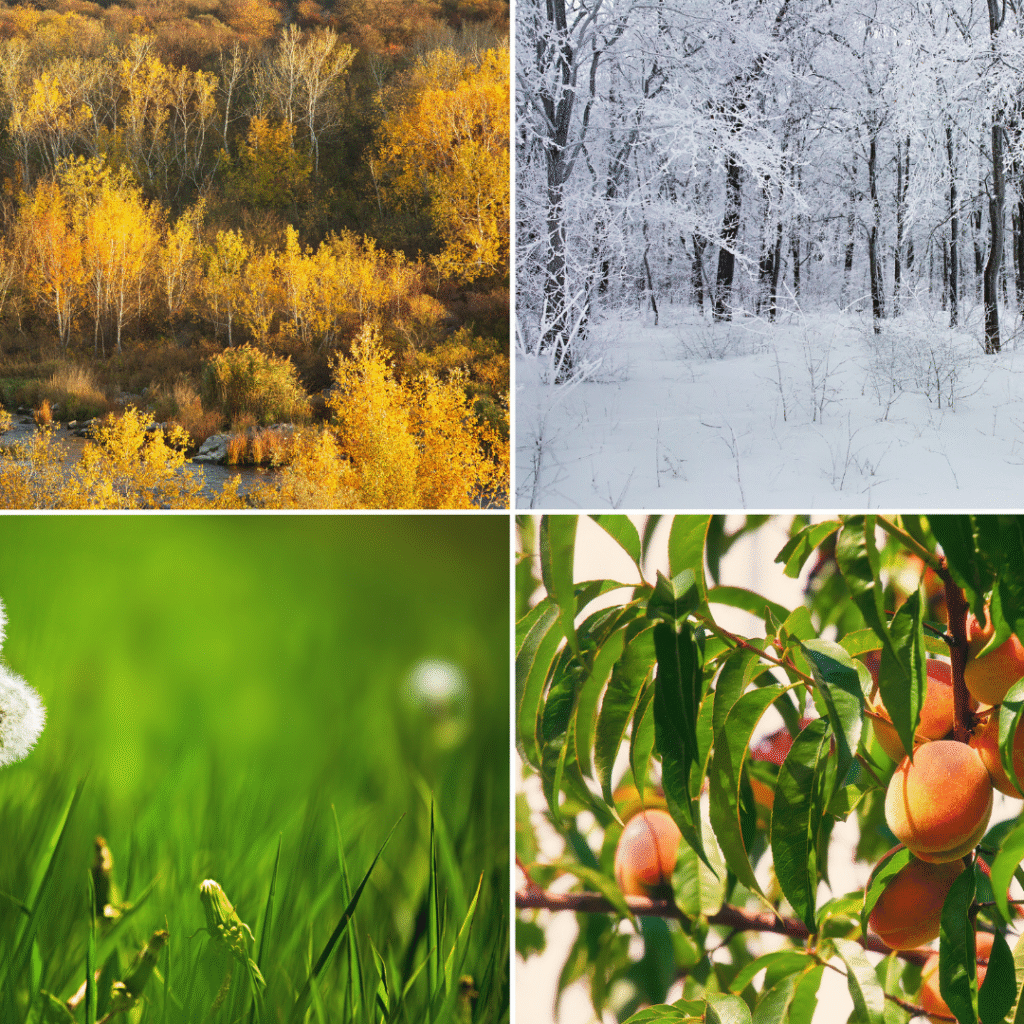 English news article for kids What are the seasons English news article for kids What are the seasons