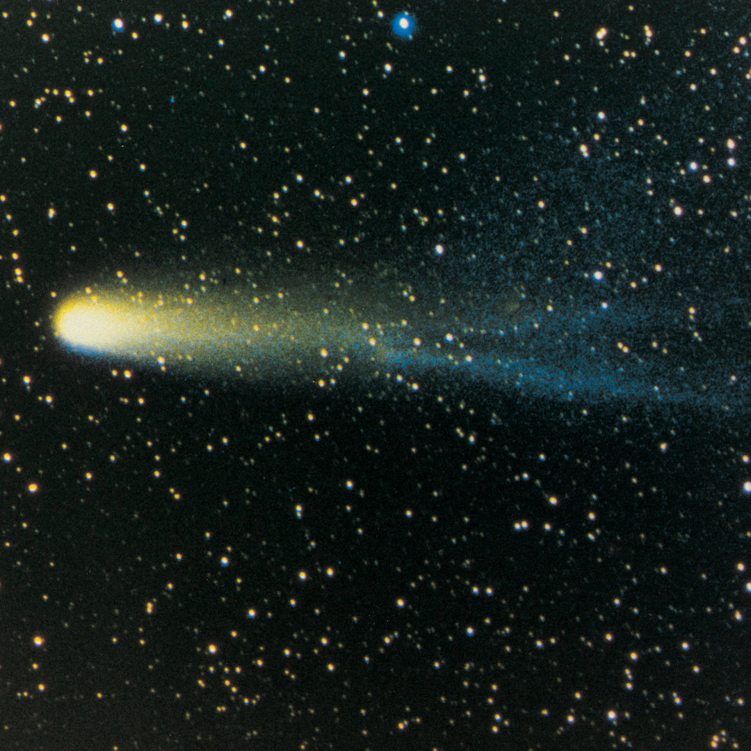 Halleys Comet English news article for kids