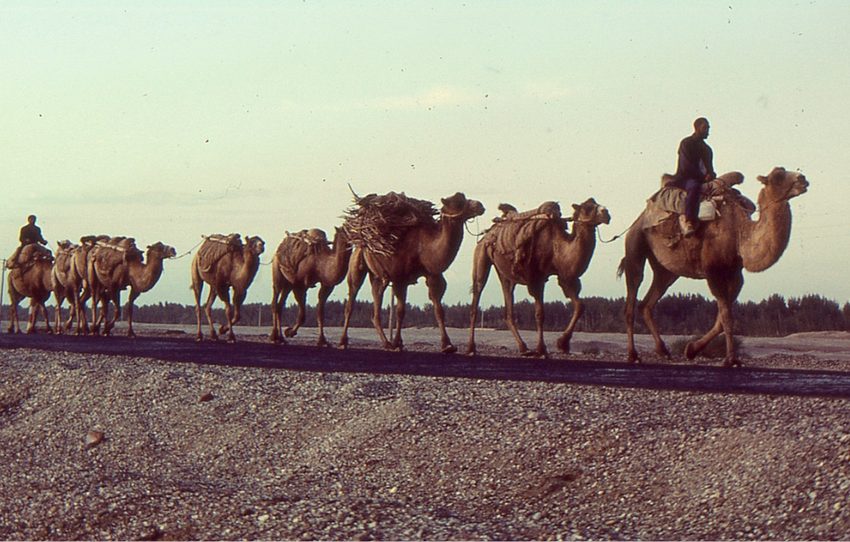 The Silk Road: a kids’ guide to the famous trade route