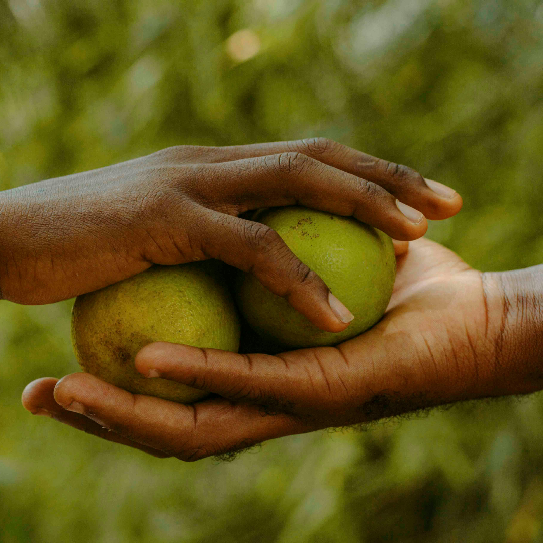 Hands sharing fruit - What is World Kindness Day?