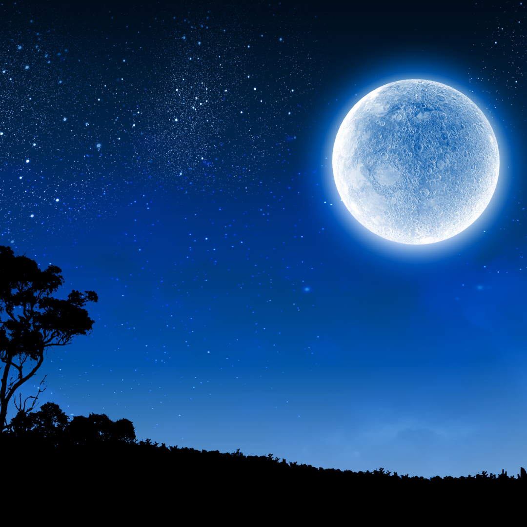 The November supermoon: a bright surprise in the night sky