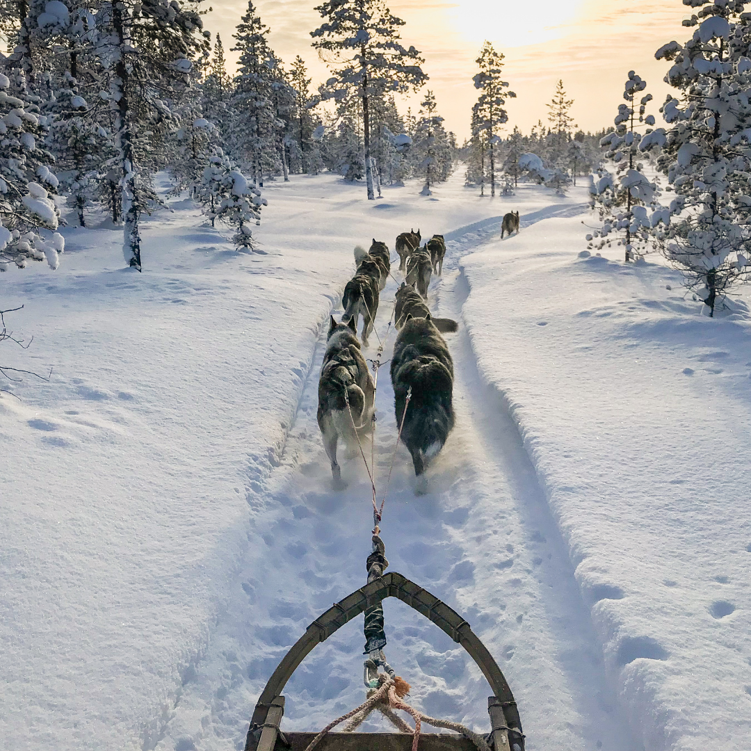 Lapland: A kids’ guide to the magical home of Santa Claus