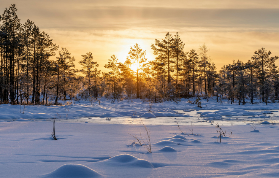 The winter solstice happening