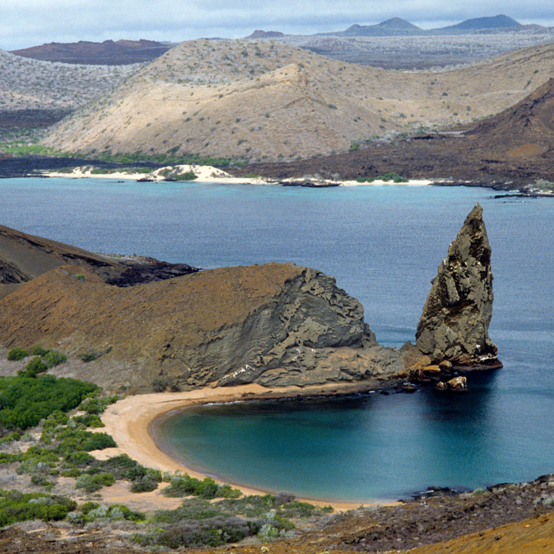 The Galápagos Islands