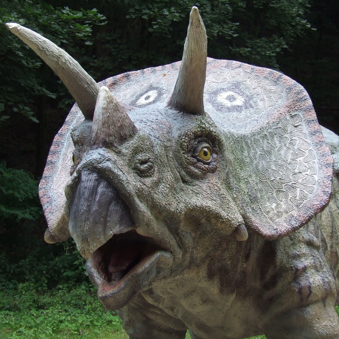 Triceratops facts for kids