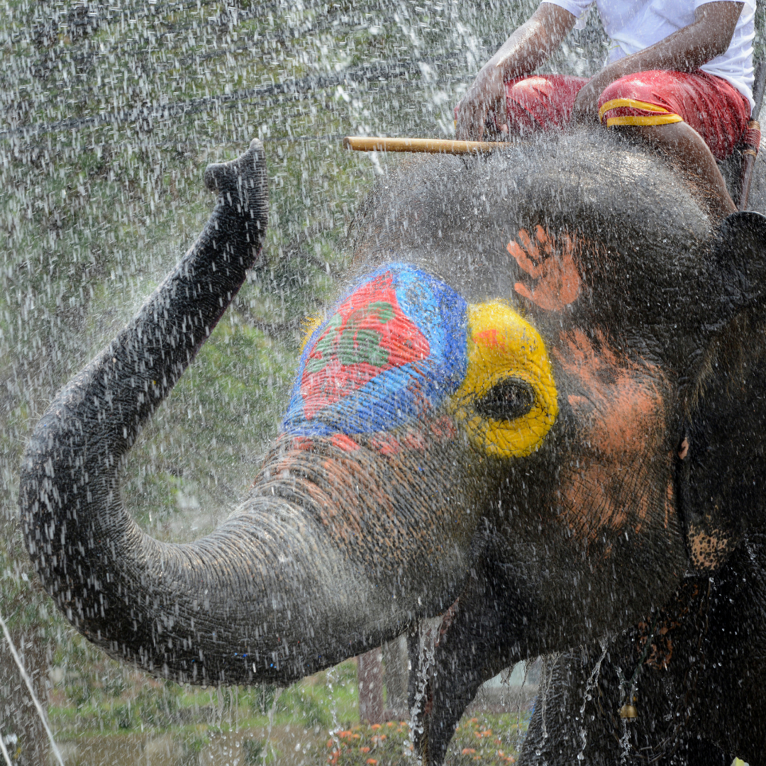 Songkran Thailand