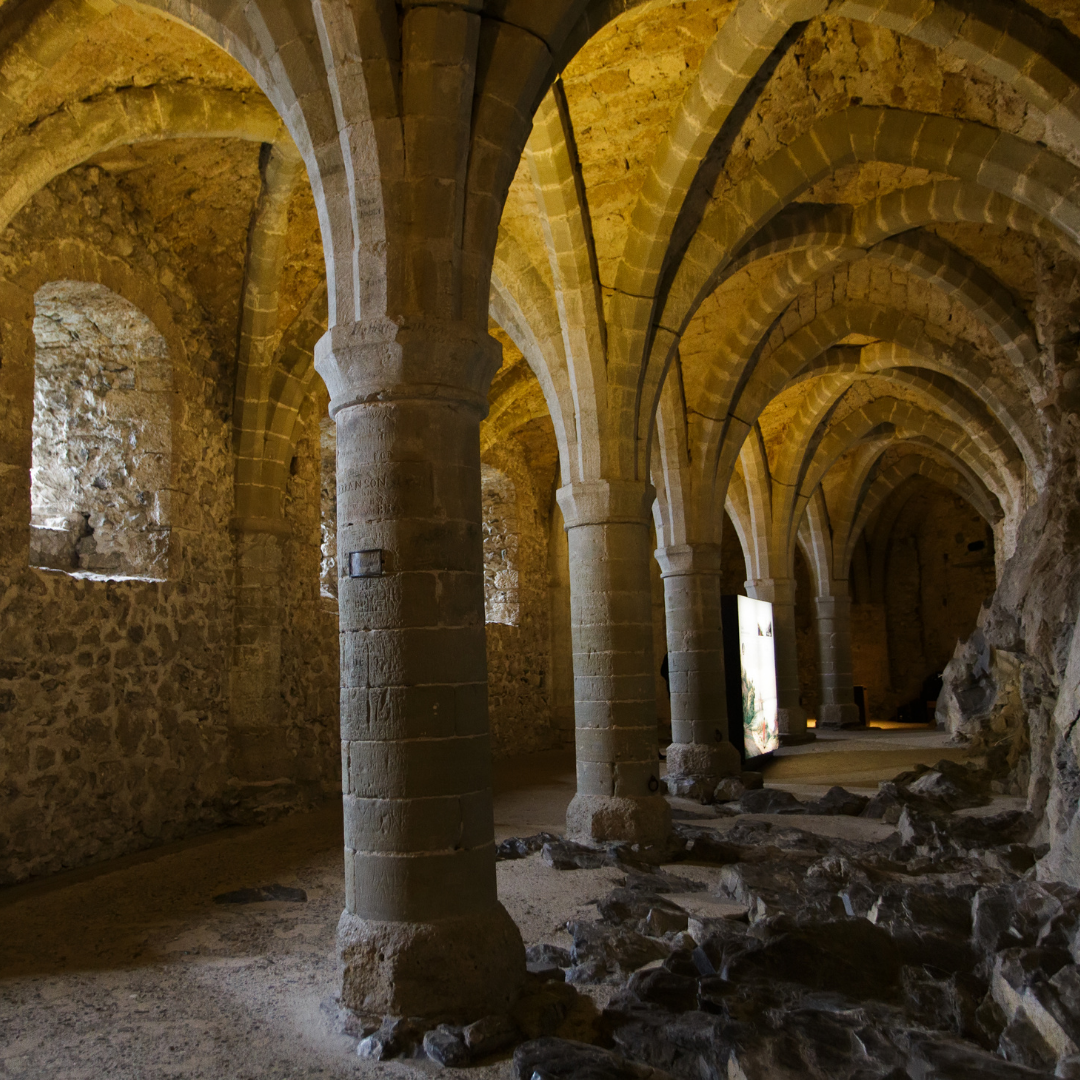 Inside a medieval castle
